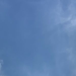 Meet your Posher, Kiana